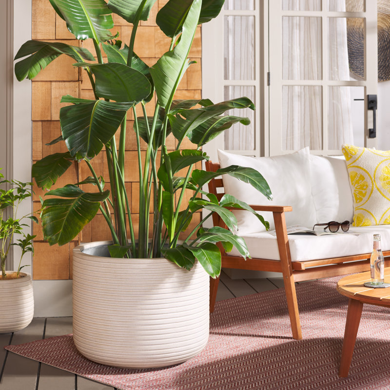 Handmade Concrete Pot Planter, Beige