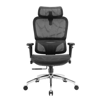 Ergonomic Office Chair, with Big Seat and Adjustable Lumbar Support