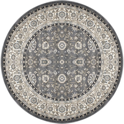 Mishawaka Oriental Indoor Rug