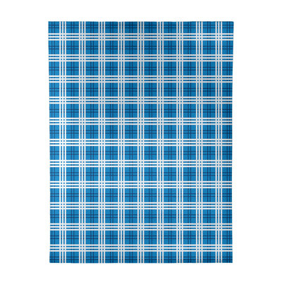 Plaid Indoor Rug