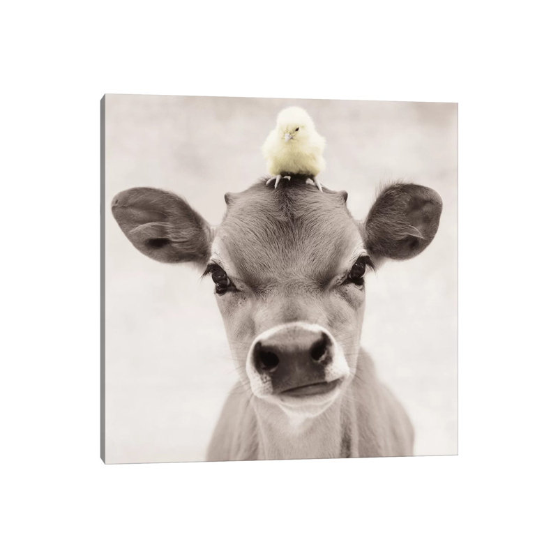 Bubba And Hudson by Rachael Hale - Wrapped Canvas Print, 66.04 cm H x 66.04 cm W x 3.175 cm D