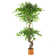 Faux Ficus Tree