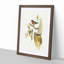 Flame-Breasted Robin by Elizabeth Gould - Picture Frame Painting Print-55609177-55609178