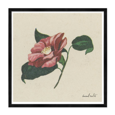 Wild Rose Print