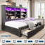 Bookcase Bed with LED Light and Underbed Drawers, Storage Headboard Platform Bed for Teens-102300040