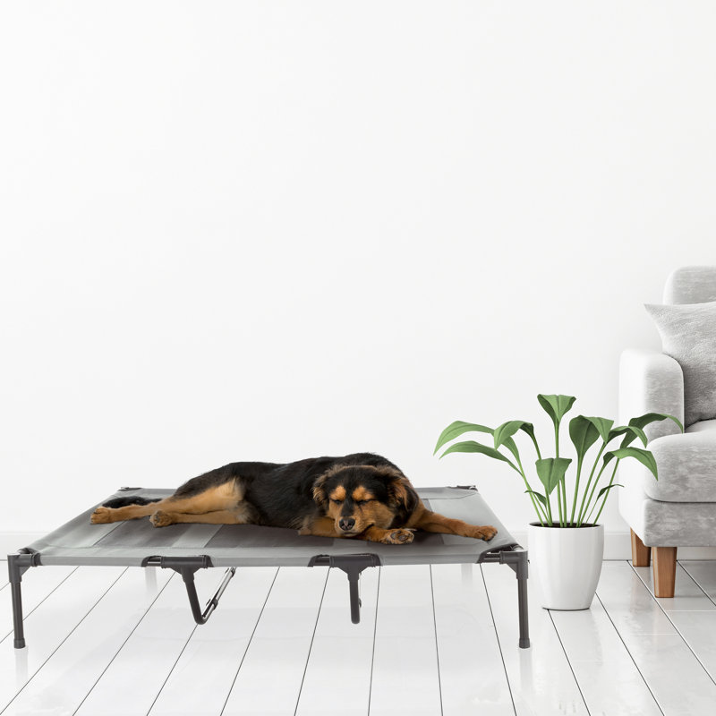 Polyester Pet Bed, 22.86cm H x 121.92cm W x 91.44cm D, Grey