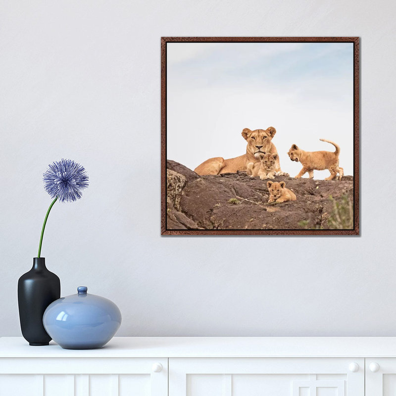 Colour Lioness & Cubs by Klaus Tiedge - Print on Canvas, Classic Brown Wood Framed Canvas, 45.72 cm H x 45.72 cm W