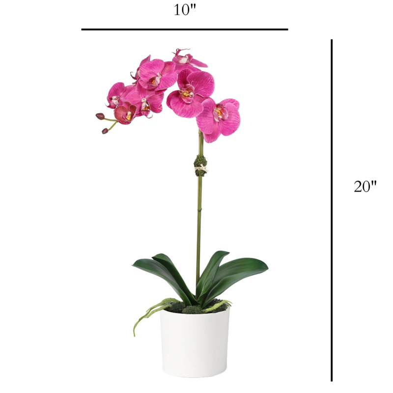 Arrangement de soie orchidée en pot, Rose, Blanc