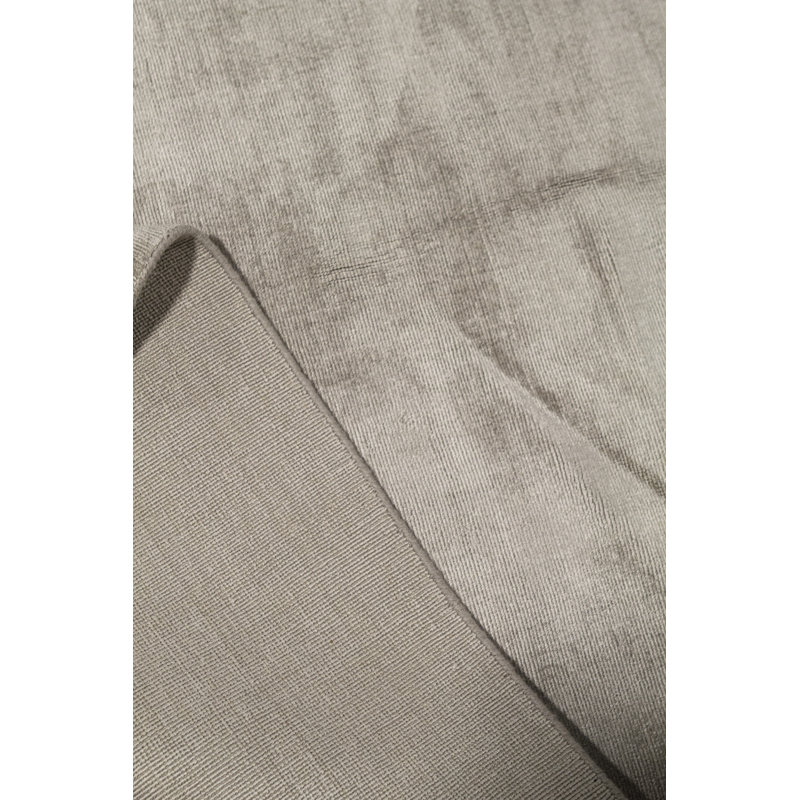 Area Rug in Beige