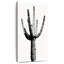 Saguaro noir et blanc I-1830284296