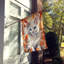 Chat en feuilles d'automne-112700464