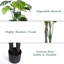 Arbres artificiels avec pot Monstera Deliciosa-405306187-405306185