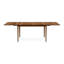 Sarah Four Leg Extension Table-61405771-11362892