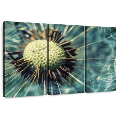 Harnek Close-Up Dandelion