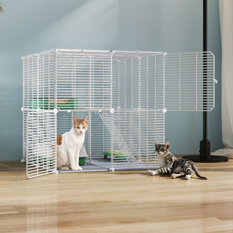 Cat Cage