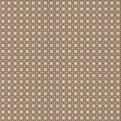 Indoor Rug