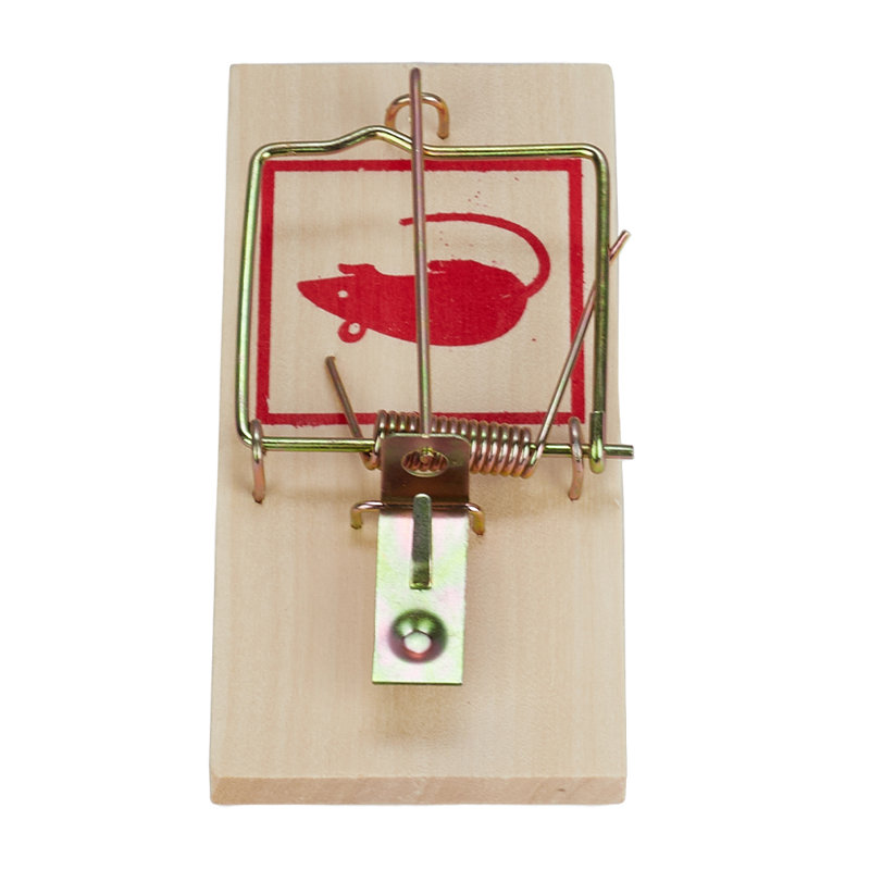 Mouse Cage