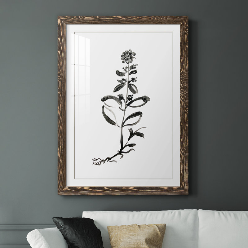 Inky Botanical III - peinture encadrée, H 37,5 po x l 27,5 po x P 1,5 po, Encadré de bois de noyer