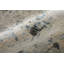 Tapis Farrica-362573127