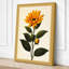 Single Sunflower Study Botanical - Wrapped Canvas-131761824-131761828