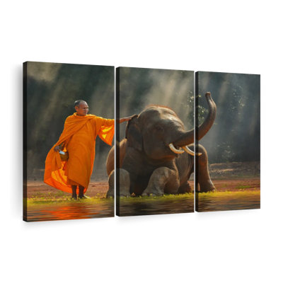 " Monk And Asian Elephant "