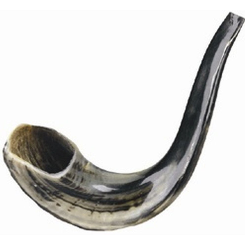Ultimate Judaica casher Shofar Rams Horns, H 11,5 po x l 4 po x P 3 po