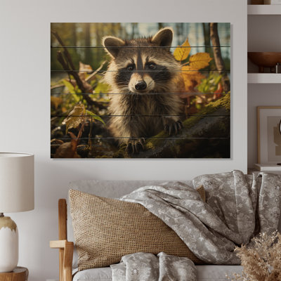 " Raccoon Ultra "