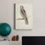 Canada Owl - impression sur toile tendue-1778319962