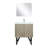 Lancy 30 in W x 20 in D Single Bath Vanity Mirror and Faucet Set-113286998