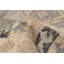 Ankara FW Tan Kilim 5'2" x 7'7"