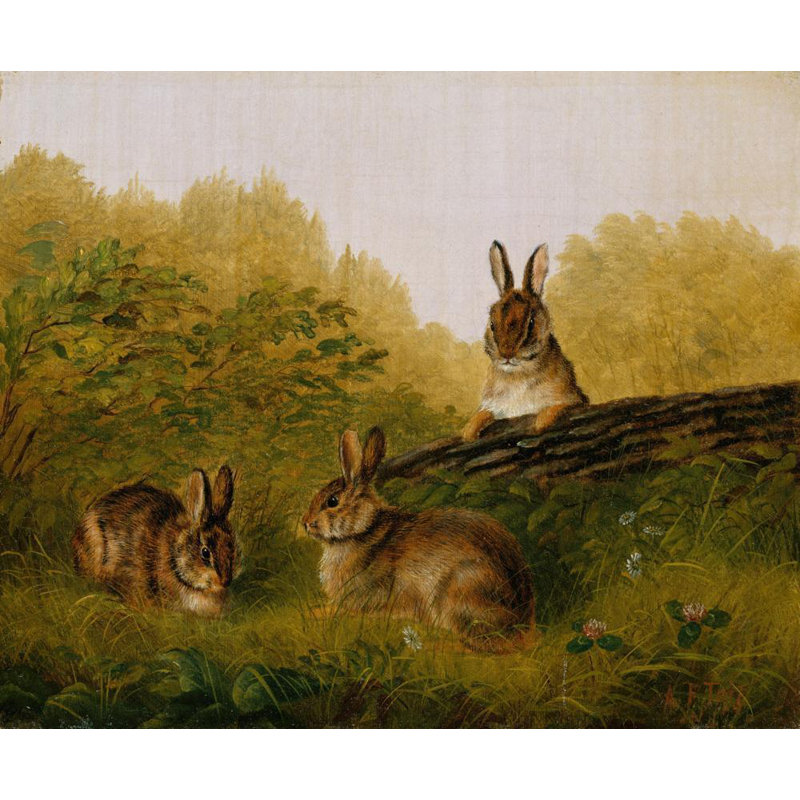 «Rabbits on a Log» par Arthur Fitzwilliam Tait - Art mural sur toile tendue avec châssis, H 17 po x l 24 po