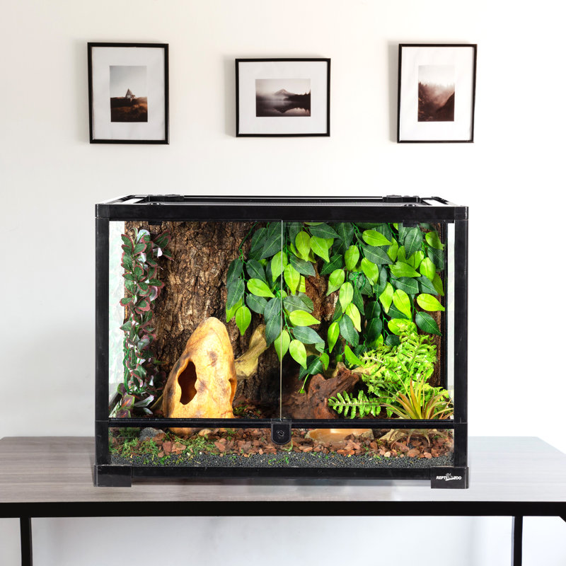 23.6'' x 17.7'' x 17.7'' Reptile Terrarium
