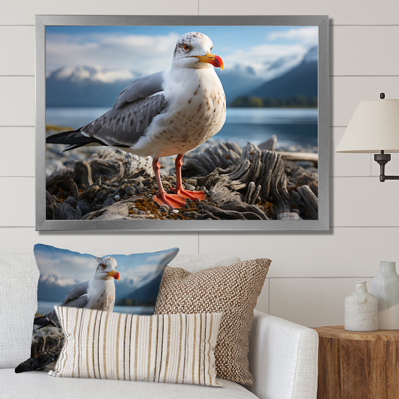 «Seagull Portrait On Rock», reproduction d'art sur toile, 12" H x 20" W, Silver Picture Framed