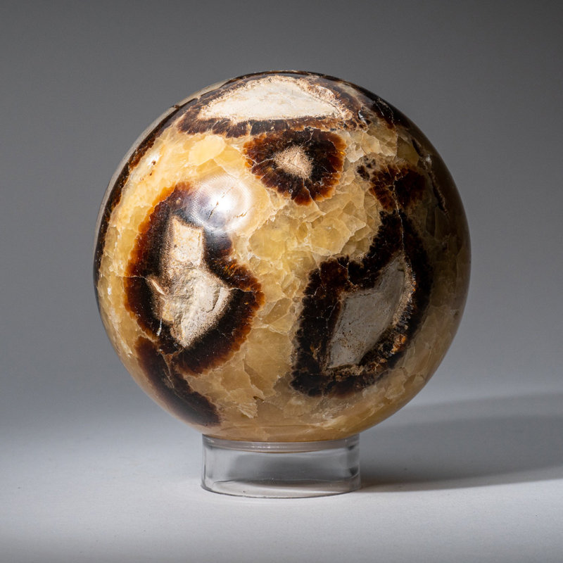 Genuine Polished Septarian (2") Sphere from Madagascar, 3.75" H x 3.75" W x 3.75" D, Gray/Yellow/Brown