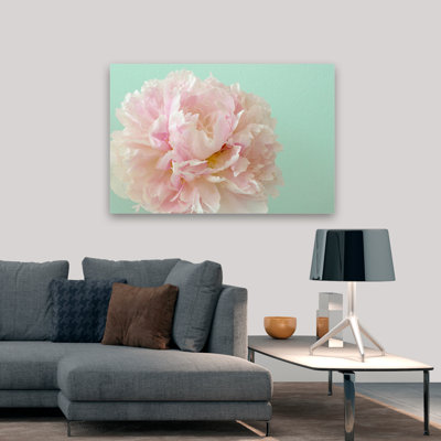 Plantes, fleurs, éclaboussures, art mural