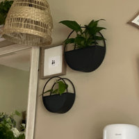 Steelside™ 2 Piece Set Metal Round Wall Planters - Black Iron Plant Holders  for Indoor Plants - Modern Transitional Style Wall Decor - Gift Idea for  Plant Lovers & Reviews