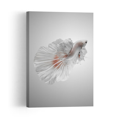 Graceful White Betta Delicate Elegant Minimalist Fish Wall Art Print by Andi Halil - Print