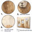 Minimalisme, Alpagas mignons sur toile-500571223-500571224