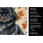 Black Pekingese Heirloom Fall Kitchen Towel-1218231551