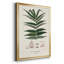 " Botanical Society Ferns XII "-88261602-88261603