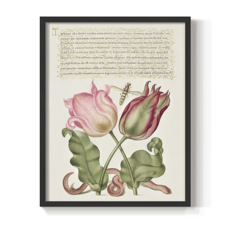 Reproduction encadrée de Hoefnagel, «Tropical Specples» - bois massif, H 15 po x l 12 po, Noir, noir, noir, noir