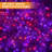 RGB Multi-Color Twinkle String Lights for Outside, 43 Modes Remote Control, 320 LEDs 26FT Christmas Hanging Lights, Holiday Presets, Plug In