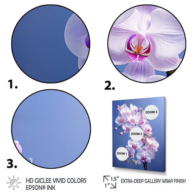 Orchidées mauves élégantes I - imprimé, H 40 po x l 30 po x P 1,5 po, Toile tendue