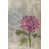 Wrapped Canvas selected