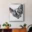Toile encadrée de qualité supérieure Equine Portrait VI - prête à être accrochée-1648714845-1648714846