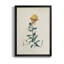 Toile encadrée de qualité supérieure Traditional Botanical III - prête à être accrochée-1366615106-1366615107