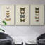 Ensemble de 3 papillons encadrés sur toile pauquet-97710713-97710714
