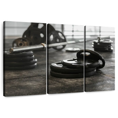 Sireci Weight Plates And Bar