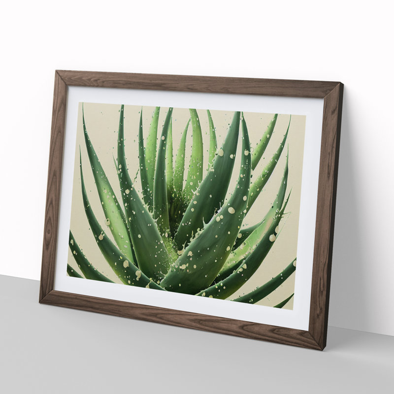 Angelical Aloe Vera Plant - Framed Print, Walnut, 25cm H x 34cm W x 2cm D
