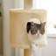 Multi-Level Cat Climbing Tower With Cat Condo, Cat Tree With Scratching Board-285491284